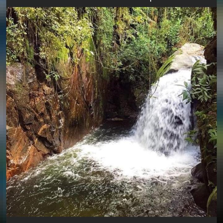 Chale Do Serjao Vale Santa Clara Visconde De Maua Dış mekan fotoğraf